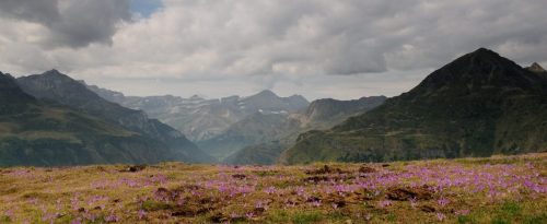 DSC_2518_1132