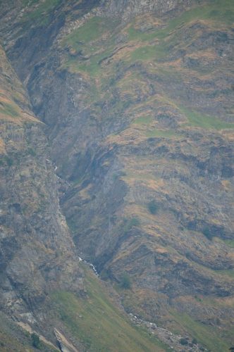 DSC_2520_1134