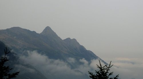 DSC_2521_1135