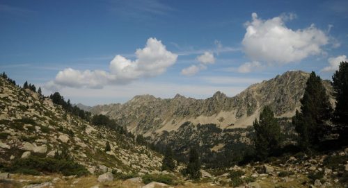 DSC_2546_1145