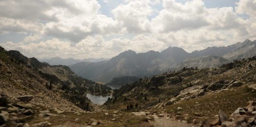 DSC_2550_1147