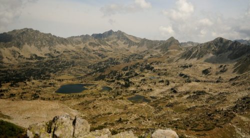 DSC_2559_1151