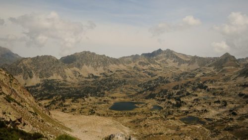 DSC_2560_1152