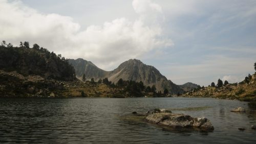 DSC_2566_1154
