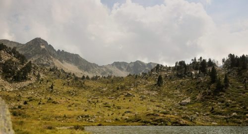 DSC_2568_1155