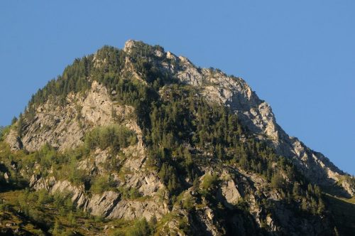 DSC_2575_1158