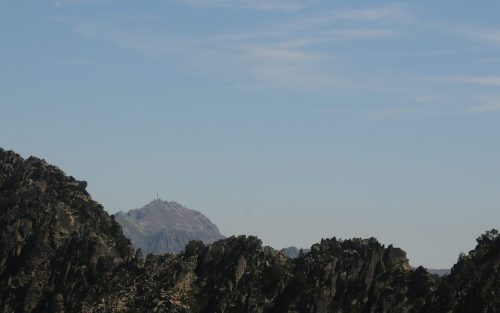 DSC_2585_1162