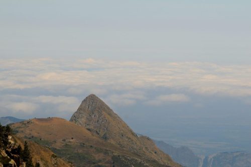 DSC_2587_1164