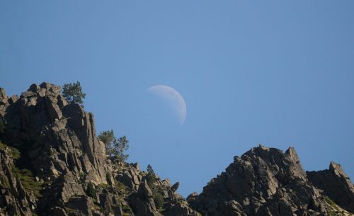 DSC_2593_1168