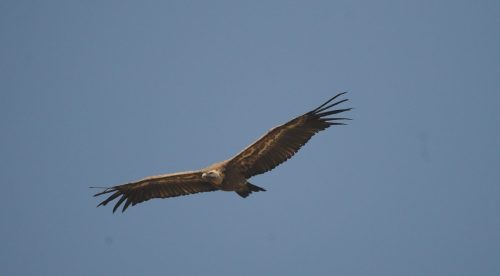 DSC_2623_1178