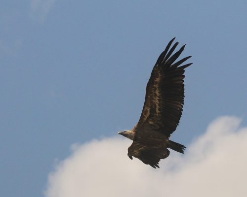 DSC_2624_1179