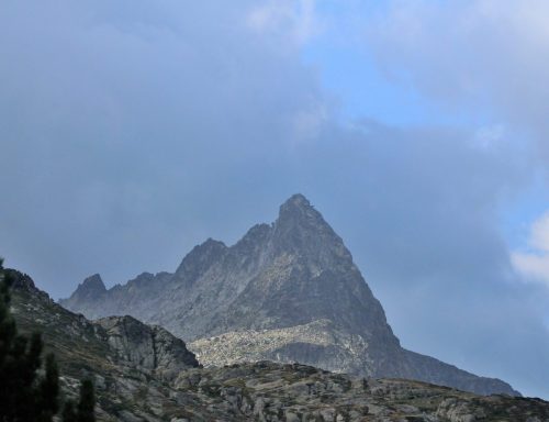 DSC_2694_1203
