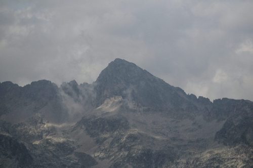 DSC_2695_1204