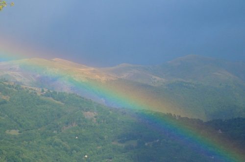 DSC_2726_1223