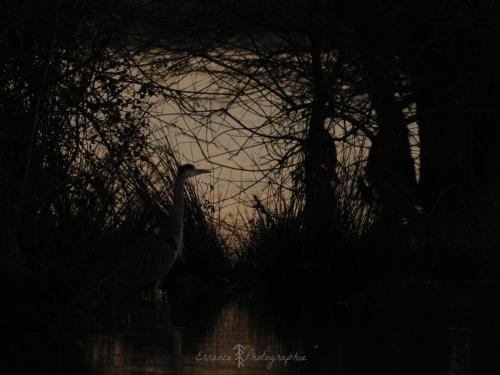 DSC_9093_00021 (Copier)