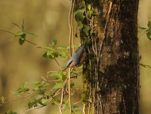 DSC_9710_00004 (Copier)