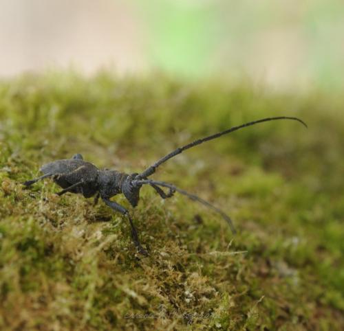 DSC_9892_00016 (Copier)