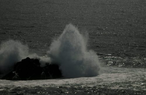 DSC_1052_575