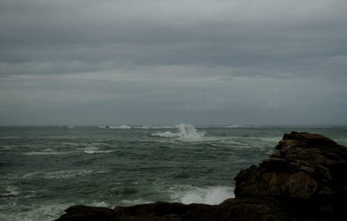 DSC_1061_580