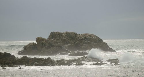 DSC_1062_581