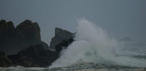 DSC_1063_582