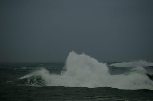 DSC_1065_584