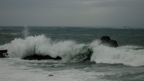 DSC_1068_586