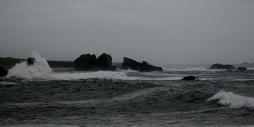DSC_1071_589