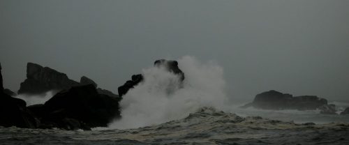 DSC_1075_591