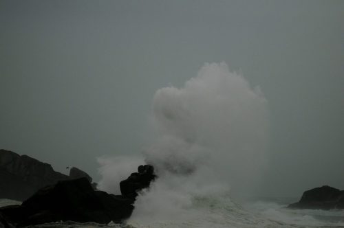 DSC_1076_592