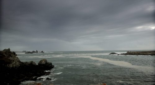 DSC_1083_593