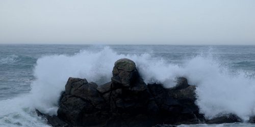 DSC_1091_595