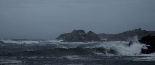 DSC_1093_596