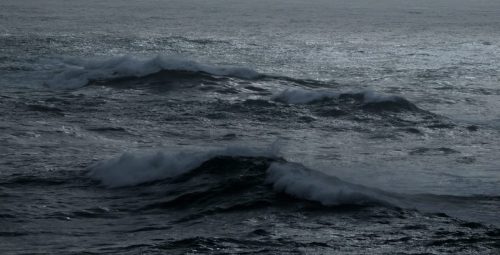 DSC_1097_598