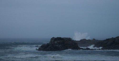 DSC_1100_599