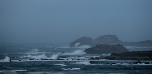DSC_1101_600