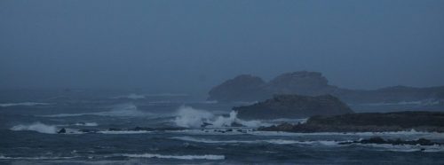 DSC_1102_601