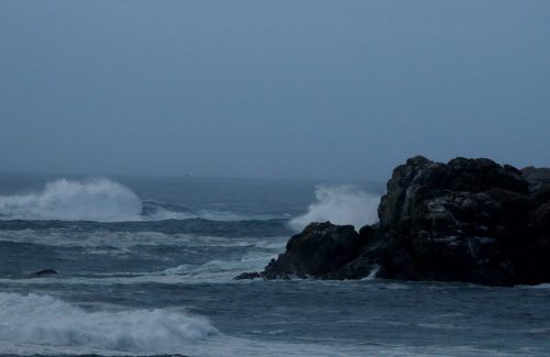 DSC_1104_602