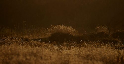 DSC_1111_604