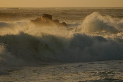 DSC_1115_607