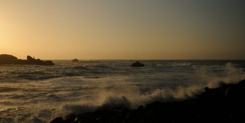 DSC_1116_608