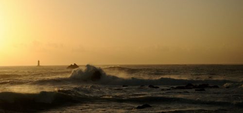DSC_1121_610