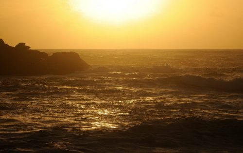 DSC_1130_617