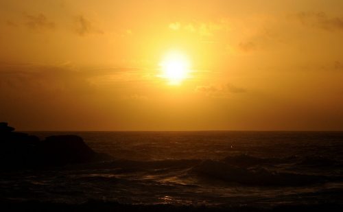 DSC_1135_619