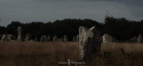 DSC_1147_630