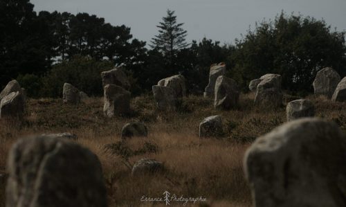 DSC_1152_632