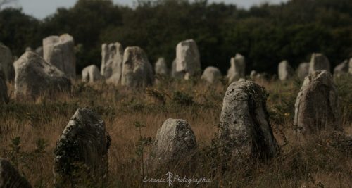 DSC_1153_633