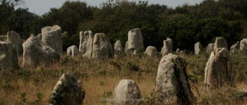DSC_1154_634