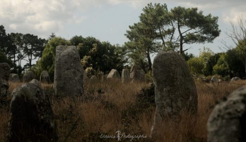 DSC_1155_635