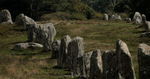 DSC_1160_637